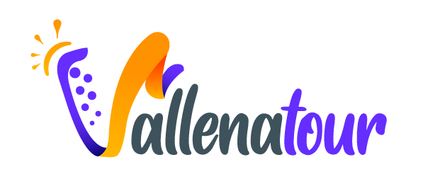 logotipo vallenatour agencia de turismo valledupar